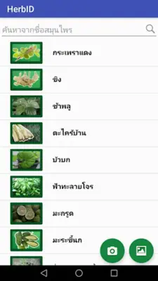 Herb ID android App screenshot 3